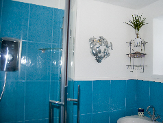 Photo of part of the shower-room in Mid Thornliebank